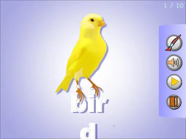 bird 1 / 10