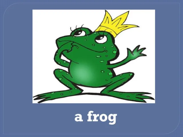 a frog