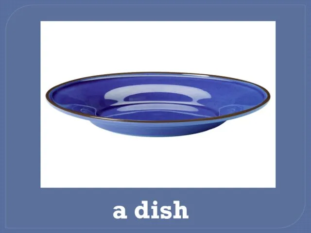 a dish