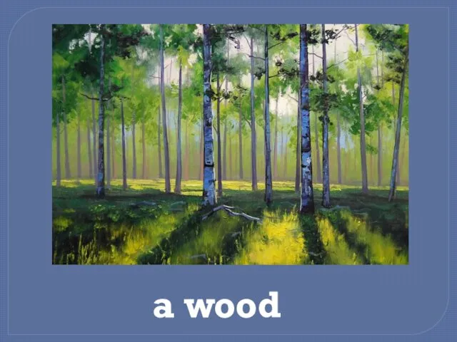 a wood