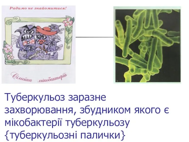 Туберкульоз заразне захворювання, збудником якого є мікобактерії туберкульозу {туберкульозні палички}