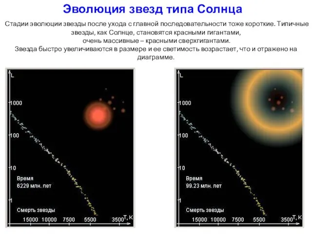 Стадии эволюции звезды после ухода с главной последовательности тоже короткие. Типичные звезды, как