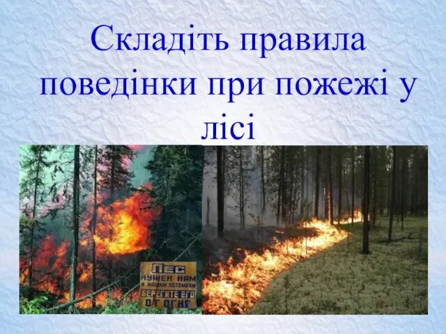 Складіть правила поведінки при пожежі у лісі