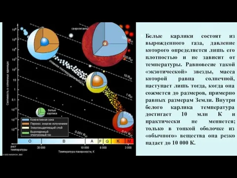 Белые карлики состоят из вырожденного газа, давление которого определяется лишь