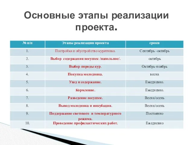 Основные этапы реализации проекта.