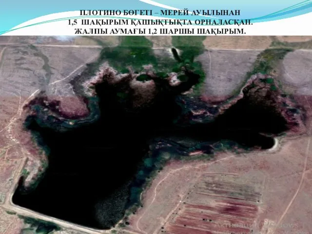 ПЛОТИНО БӨГЕТІ – МЕРЕЙ АУЫЛЫНАН 1,5 ШАҚЫРЫМ ҚАШЫҚТЫҚТА ОРНАЛАСҚАН. ЖАЛПЫ АУМАҒЫ 1,2 ШАРШЫ ШАҚЫРЫМ.