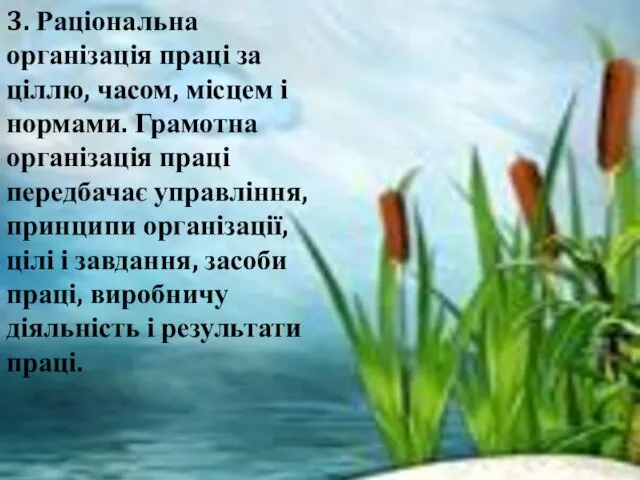 3. Раціональна організація праці за ціллю, часом, місцем і нормами.