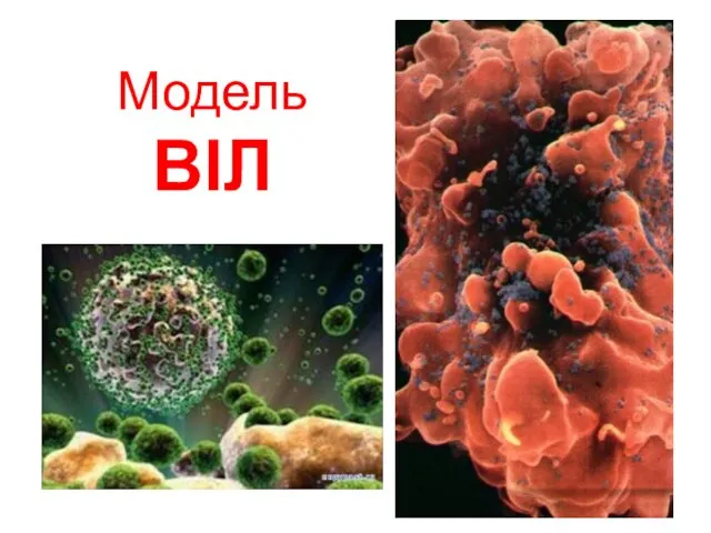 Модель ВІЛ