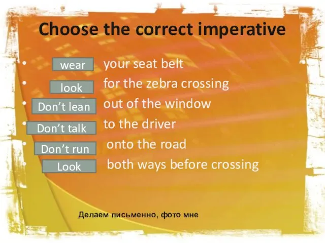 Choose the correct imperative your seat belt for the zebra