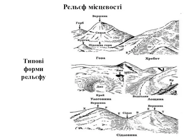 Рельєф місцевості Типові форми рельєфу