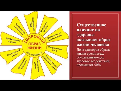 Существенное влияние на здоровье оказывает образ жизни человека Доля факторов