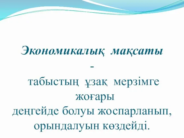 Экономикалық мақсаты - табыстың ұзақ мерзімге жоғары деңгейде болуы жоспарланып, орындалуын көздейді.