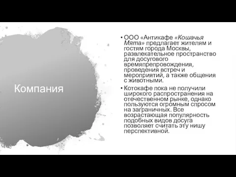 Компания ООО «Антикафе «Кошачья Мята» предлагает жителям и гостям города