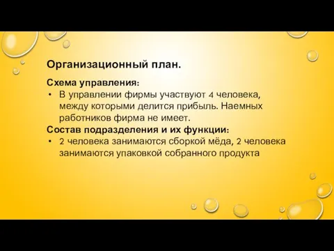 Организационный план. Схема управления: В управлении фирмы участвуют 4 человека,