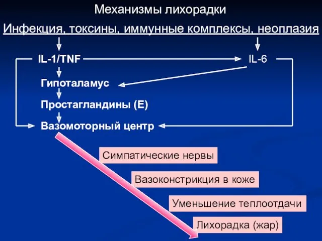 Механизмы лихорадки Инфекция, токсины, иммунные комплексы, неоплазия IL-1/TNF IL-6 Гипоталамус