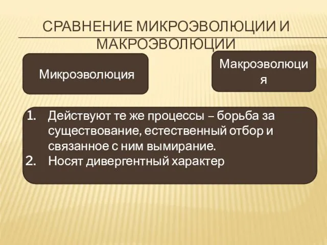 СРАВНЕНИЕ МИКРОЭВОЛЮЦИИ И МАКРОЭВОЛЮЦИИ Микроэволюция Действуют те же процессы –