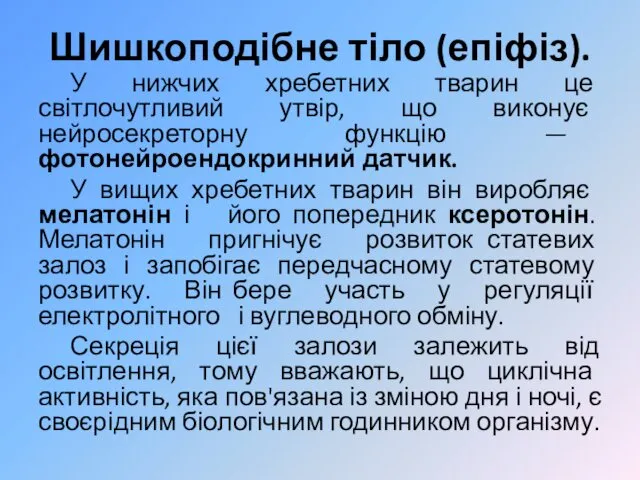 Шишкоподібне тіло (епіфіз). У нижчих хребетних тварин це світлочутливий утвір,