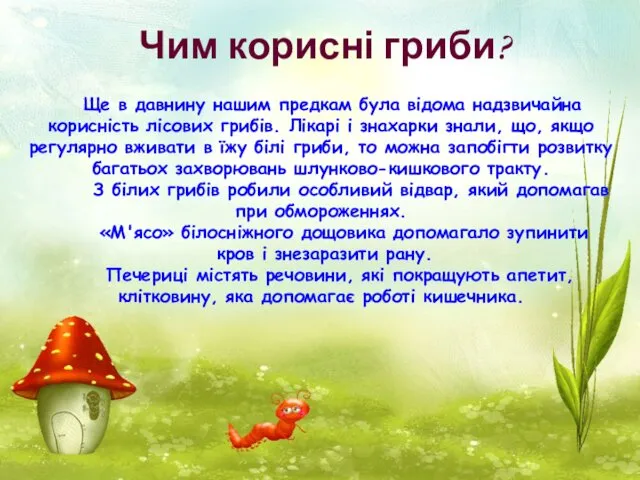 Ще в давнину нашим предкам була відома надзвичайна корисність лісових