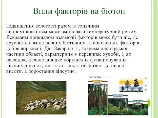 Підвищення вологості разом із сонячним випромінюванням може змінювати температурний режим.