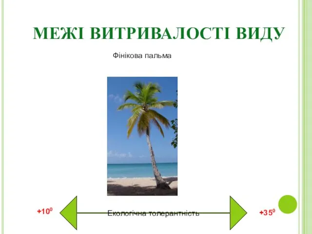 МЕЖІ ВИТРИВАЛОСТІ ВИДУ Екологічна толерантність Фінікова пальма +100 +350