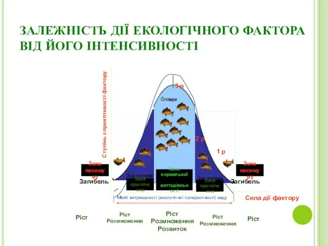 ЗАЛЕЖНІСТЬ ДІЇ ЕКОЛОГІЧНОГО ФАКТОРА ВІД ЙОГО ІНТЕНСИВНОСТІ Зона нормальної життєдіяльності