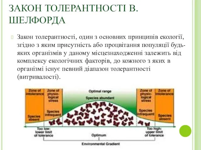 ЗАКОН ТОЛЕРАНТНОСТІ В.ШЕЛФОРДА Закон толерантності, один з основних принципів екології,