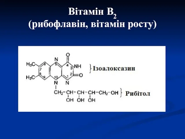 Вітамін В2 (рибофлавін, вітамін росту)