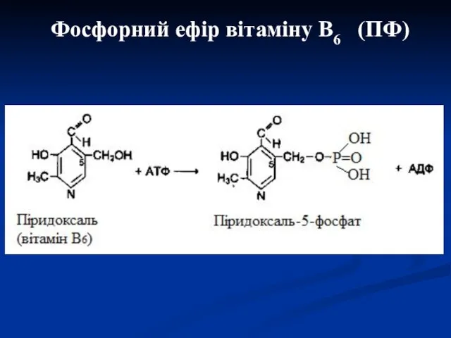 Фосфорний ефір вітаміну В6 (ПФ)