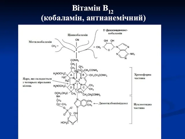 Вітамін В12 (кобаламін, антианемічний)