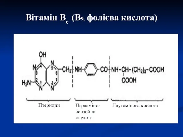 Вітамін Вс (В9, фолієва кислота) Птеридин Парааміно- бензойна кислота Глутамінова кислота