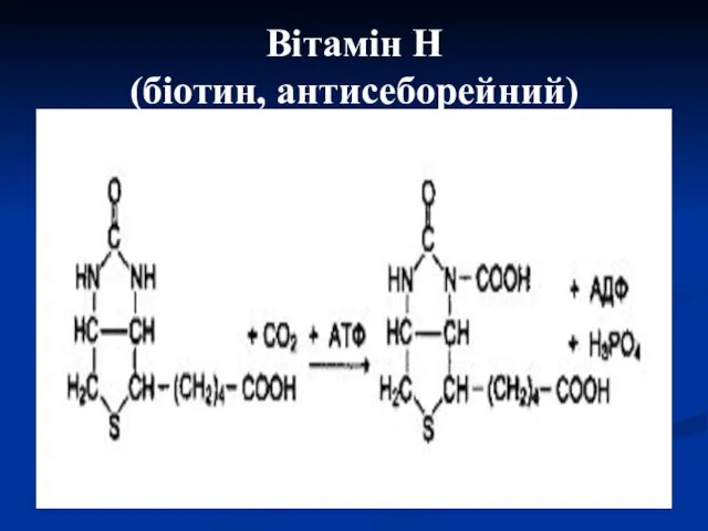 Вітамін Н (біотин, антисеборейний)