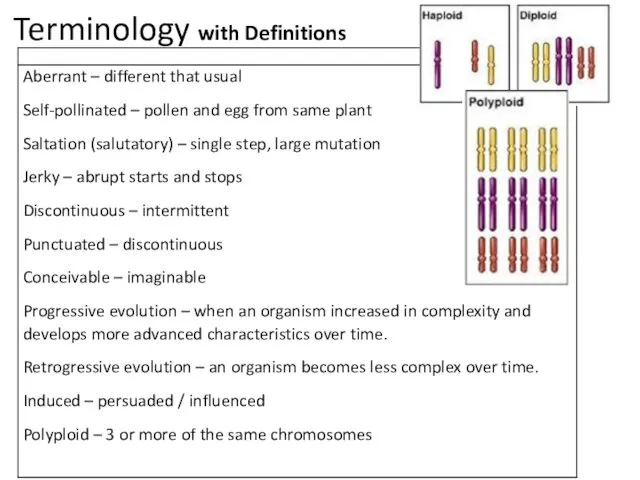 Terminology with Definitions