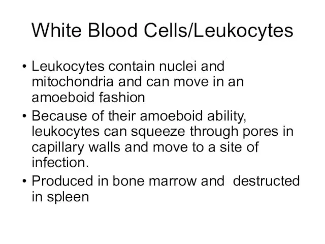 White Blood Cells/Leukocytes Leukocytes contain nuclei and mitochondria and can