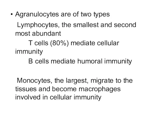 Agranulocytes are of two types Lymphocytes, the smallest and second