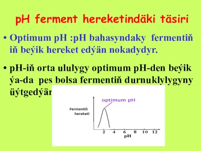 pH ferment hereketindäki täsiri Optimum pH :pH bahasyndaky fermentiň iň