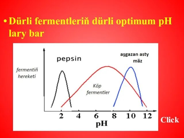 Dürli fermentleriň dürli optimum pH lary bar Click