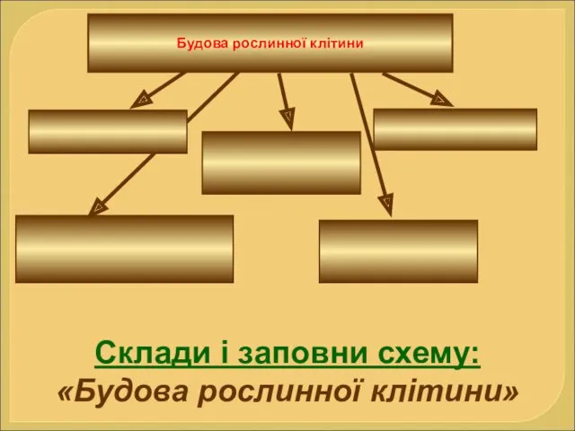 Будова рослинної клітини Склади і заповни схему: «Будова рослинної клітини»