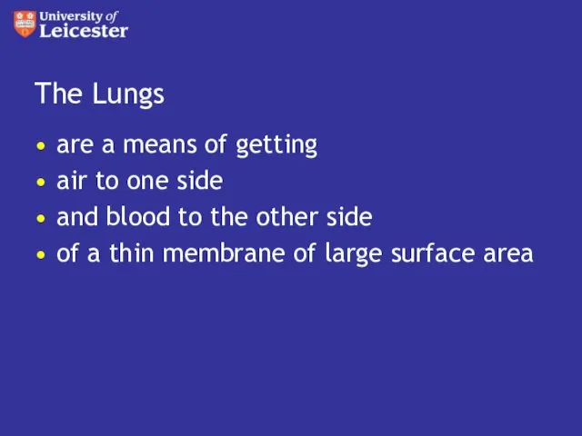 The Lungs are a means of getting air to one
