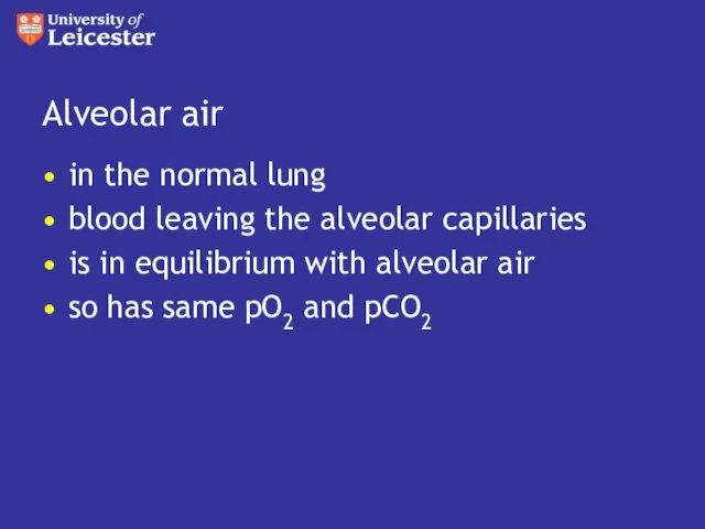 Alveolar air in the normal lung blood leaving the alveolar