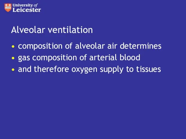 Alveolar ventilation composition of alveolar air determines gas composition of