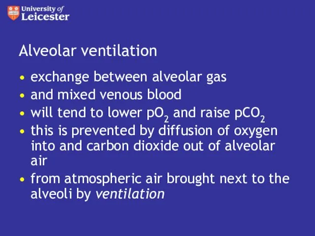 Alveolar ventilation exchange between alveolar gas and mixed venous blood