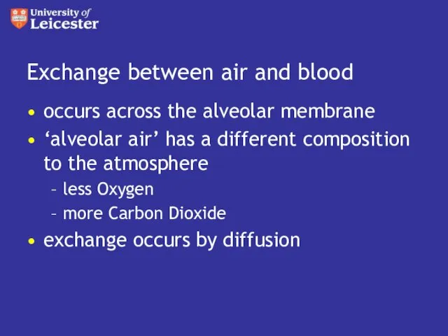 Exchange between air and blood occurs across the alveolar membrane