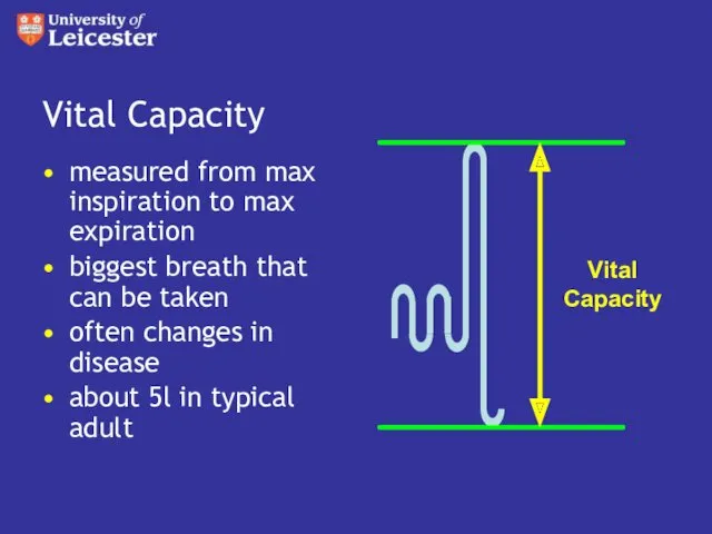 Vital Capacity measured from max inspiration to max expiration biggest