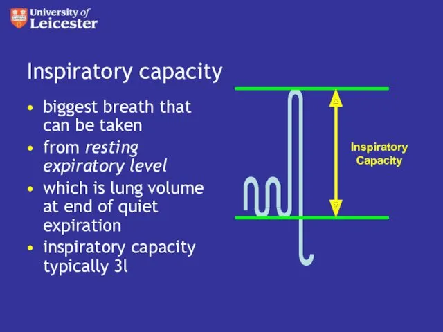 Inspiratory capacity biggest breath that can be taken from resting