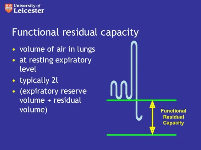 Functional residual capacity volume of air in lungs at resting