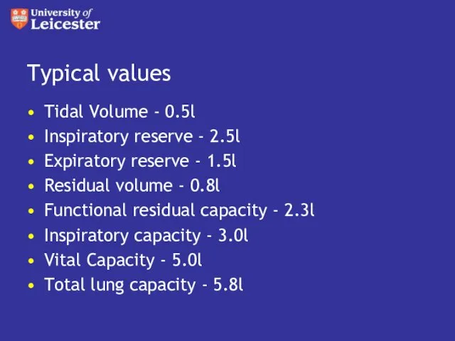 Typical values Tidal Volume - 0.5l Inspiratory reserve - 2.5l