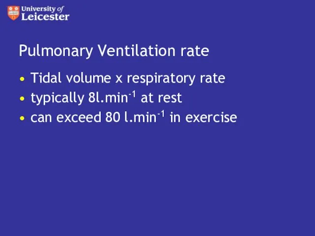 Pulmonary Ventilation rate Tidal volume x respiratory rate typically 8l.min-1