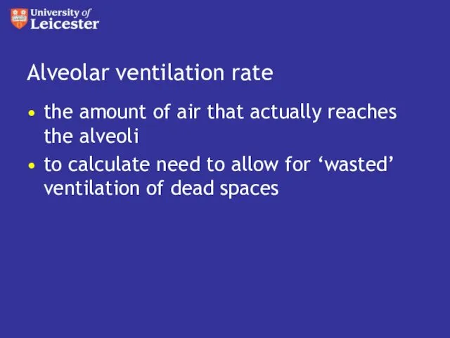 Alveolar ventilation rate the amount of air that actually reaches