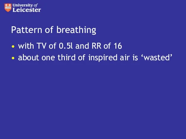 Pattern of breathing with TV of 0.5l and RR of