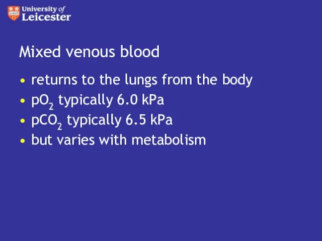 Mixed venous blood returns to the lungs from the body